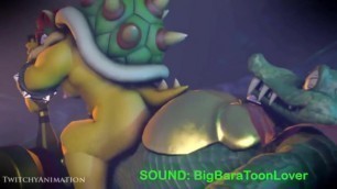 3+ Minutes of Bowser Porn W/ Sound