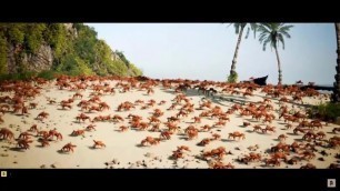 Just some Crabs