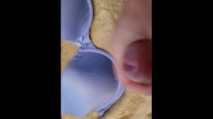 Massive Cumshot Wifes Bra