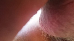 Piolet Breeding Anon with Camera
